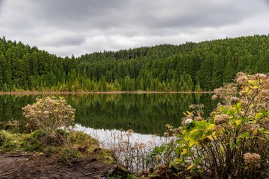 Küçük volkanik göl Lagoa do Canario Sao Miguel adasının Sete Cidades masif 'inde (Azores, Portekiz)
