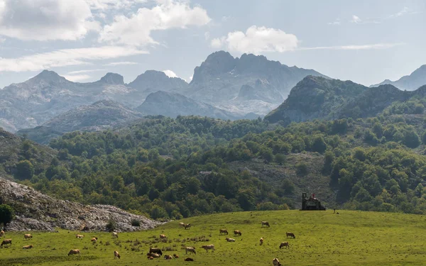 Perfil Las Principales Cumbres Los Picos Europa Zona Los Lagos — Foto de Stock