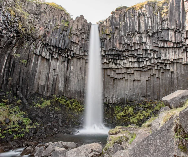 Svartifoss Vattenfall Skaftafell Nationalpark Island Omgivet Mörka Basaltpelare — Stockfoto