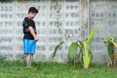 Çocuk ağacı suluyor, Asyalı ki