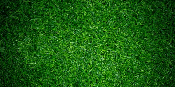 Grass Field Background Green Natur — Stock Photo, Image