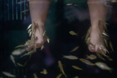 Balık ayağı spa 'sı, dinlenme zamanı, kapanış