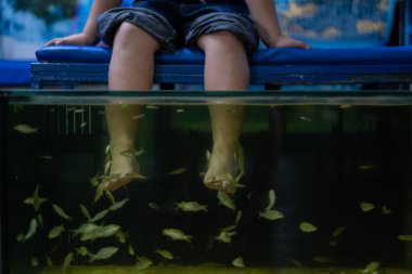 Balık ayağı spa 'sı, dinlenme zamanı, kapanış