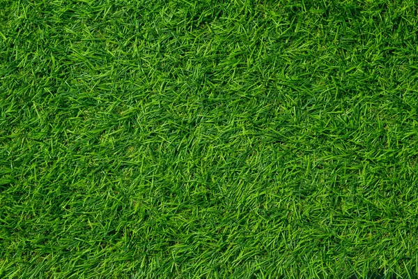 Fondo Hierba Verde Fiel Fútbol —  Fotos de Stock