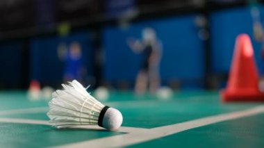 Geçmişi bulanık Badminton mekik siki