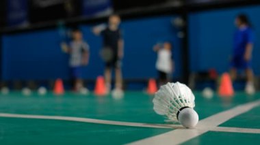 Geçmişi bulanık Badminton mekik siki