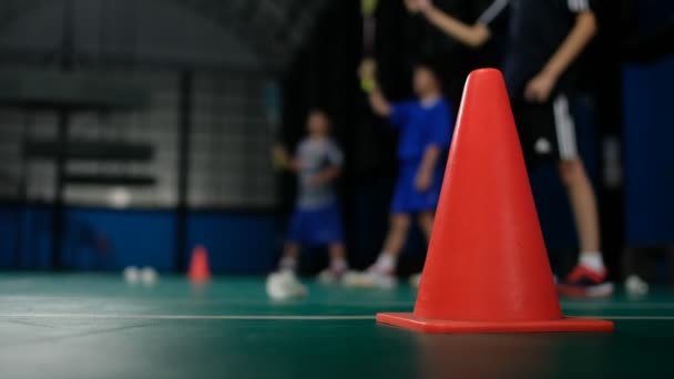 Navette Badminton Avec Fond Flou — Video