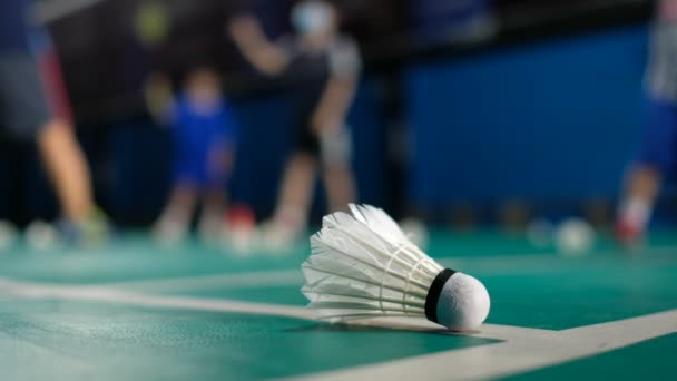 Badminton Shuttlecock Com Fundo Desfocado — Vídeo de Stock