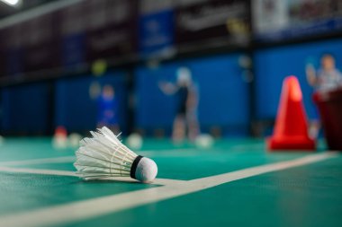 Badminton mekik horozu yeşil zeminde