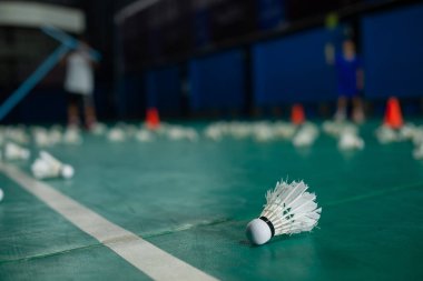 Badminton mekik horozu yeşil zeminde