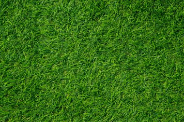 Yeşil çimen arka plan, futbol sahası