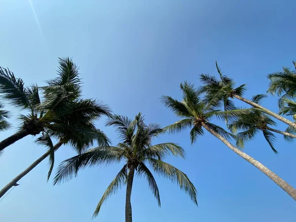 Praia Mar Férias Férias Praia Tropical Agradável Com Palmas Nuvens — Fotografia de Stock