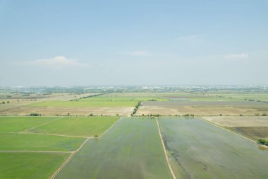 Pirinç tarlasının uçan insansız hava aracından gelen hava görüntüsü çevre yeşil desenli arka plan, üst görüş alanı ric