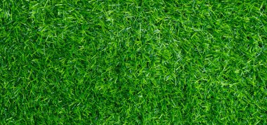 çimen alanı arkaplanı, yeşil doğa