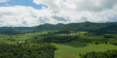 Üst Manzara Orman arka planı, büyük tre
