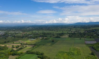 Üst Manzara Orman arka planı, büyük tre