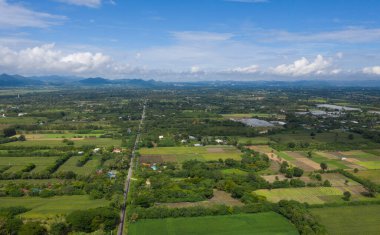 Üst Manzara Orman arka planı, büyük tre