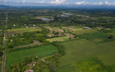Üst Manzara Orman arka planı, büyük tre