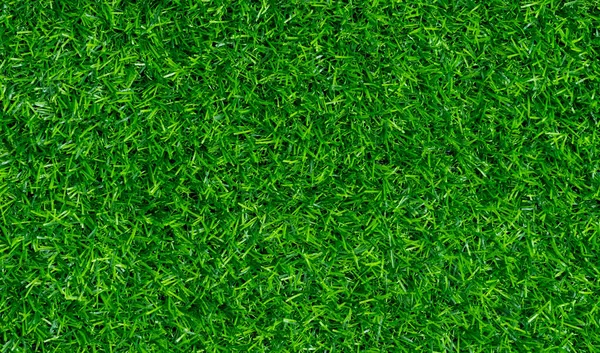 çimen alanı arkaplanı, yeşil doğa