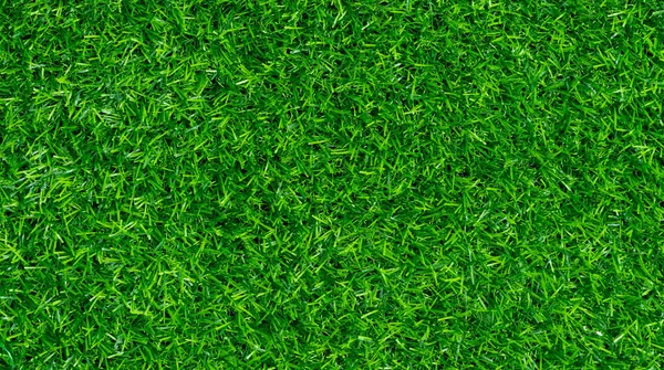Gras Veld Achtergrond Groene Natur — Stockfoto