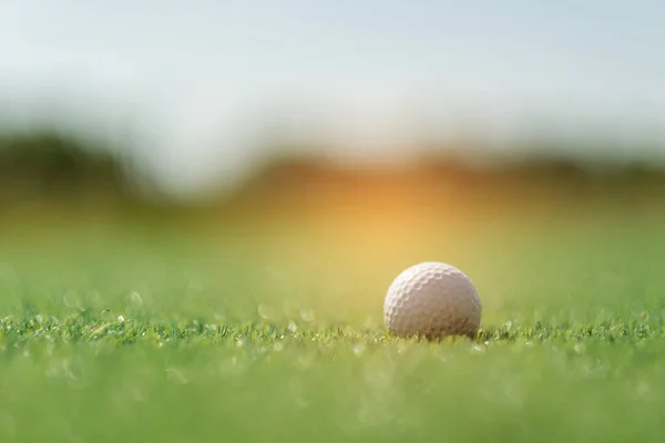 Golf Bollar Konstgräs Med Suddig Bakgrund — Stockfoto