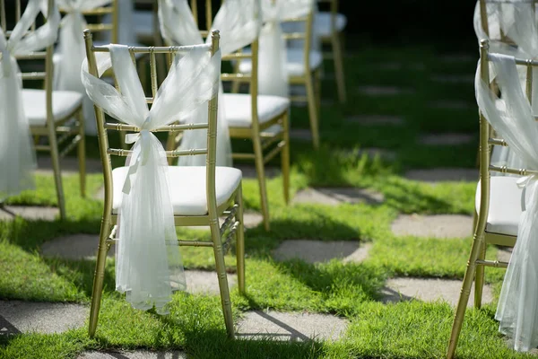 Wedding Chair Decoration Event Chair — Stock Photo, Image