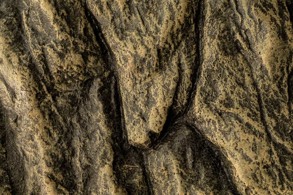 Closeup Rock Background Texture Nature — Photo