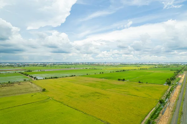 Luchtfoto Van Vliegende Drone Van Veld Rijst Met Landschap Groen — Stockfoto