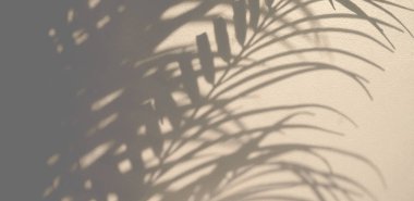 Tex için boşluk olan yaprak gölgesi arkaplanı