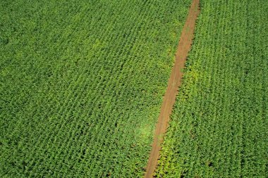 Yüksek açılı çiftlik manzarası, bitki yetiştirme, güzel arazi manzarası.