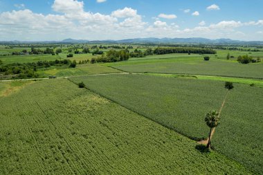 Yüksek açılı çiftlik manzarası, bitki yetiştirme, güzel arazi manzarası.