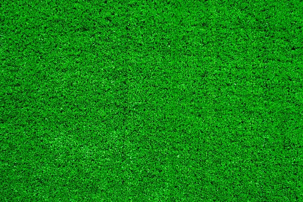 Green Grass Background Football Fiel — Stock Photo, Image