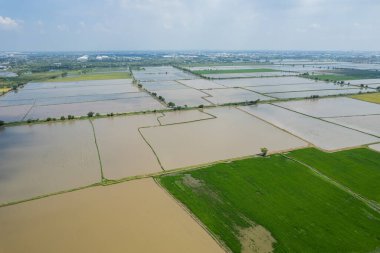 alan arkaplanı, üst manzara manzarası, natur