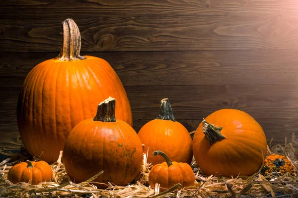 Calabaza Calabazas Sobre Fondo Madera Natural Heno Día Acción Gracias —  Fotos de Stock