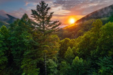 Panorama of Mountains. Colorful sunset. Great Smoky Mountains North Carolina. Scenic aerial view. Fly over clouds or fog. Green forest. Green hill. Hiking tourism. Good for travel agency or posters.