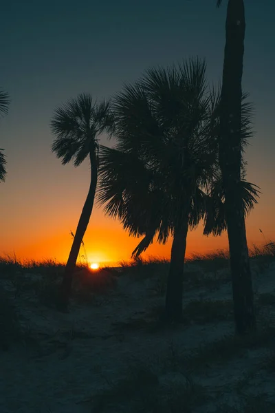 Sunset. Palm trees on the ocean beach. Florida paradise. Clearwater Beach Florida. Photo good for travel agency, posters, prints. Summer Vacation. Palm tree silhouettes. Evening mood.