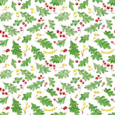 Suluboya kusursuz desen. Noel ağacı dalı ve renkli böğürtlenler, beyaz arka planda izole edilmiş.. 