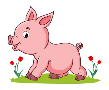 Domuz çizim bahçesinde oynuyor.