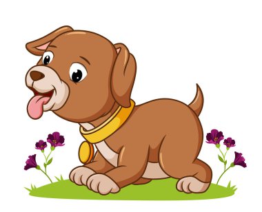 İllüstrasyon bahçesinde oynayan sevimli köpek.