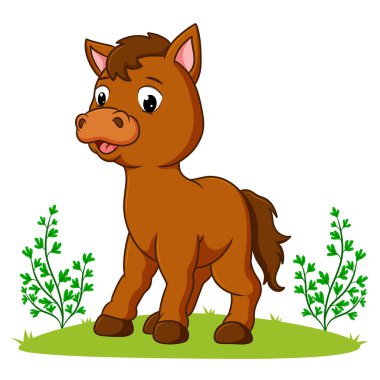 Şirin at çizim parkında oynuyor.