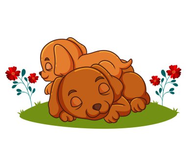 İki köpek resim bahçesinde birlikte uyuyorlar.