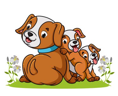 Köpek ve iki köpek yavrusu resimde birlikte oynuyorlar.