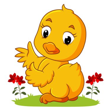 Yavru kuş, resimlerin mutlu yüzüyle baş parmağını bırakıyor.