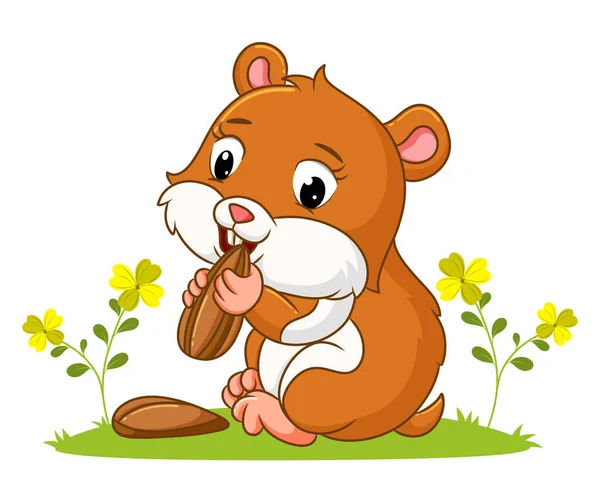 Hamster Girly Mange Les Graines Tournesol Dans Jardin Illustration — Image vectorielle