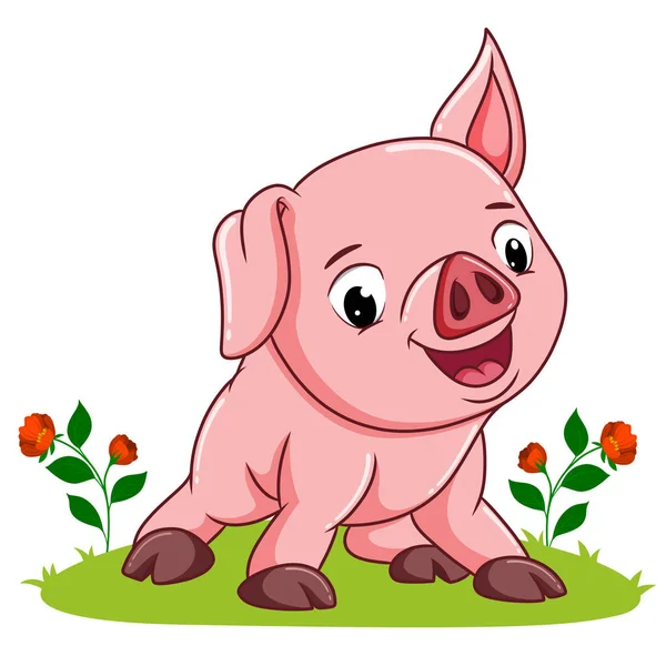 Bébé Cochon Donne Expression Heureuse Illustration — Image vectorielle