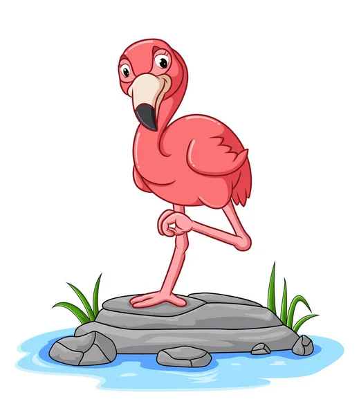 那只漂亮的火烈鸟站在图片说明的池塘上 独腿站立着 — 图库矢量图片