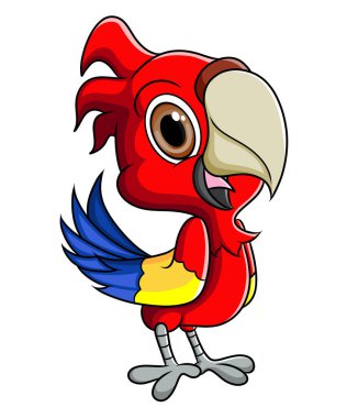 Bebek papağan ayakta duruyor ve resimden büyük gözleri var.