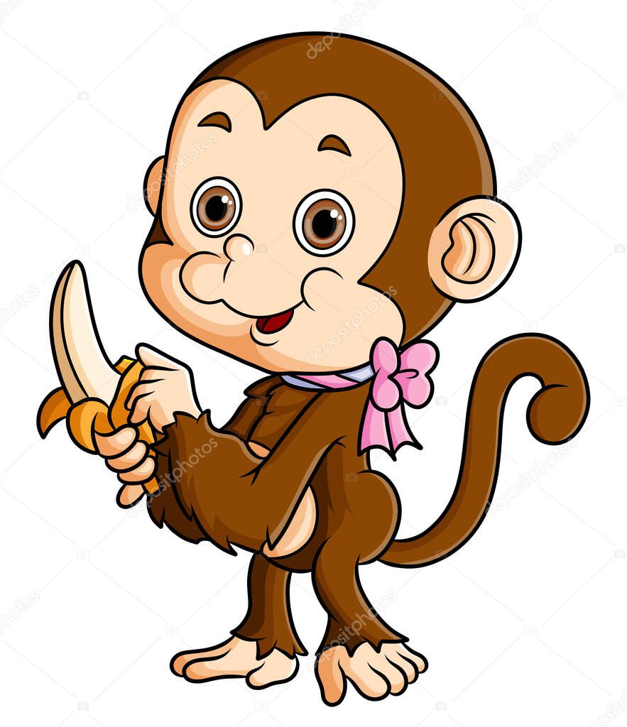 The little monkey is peeling a banana on its hand of illustration