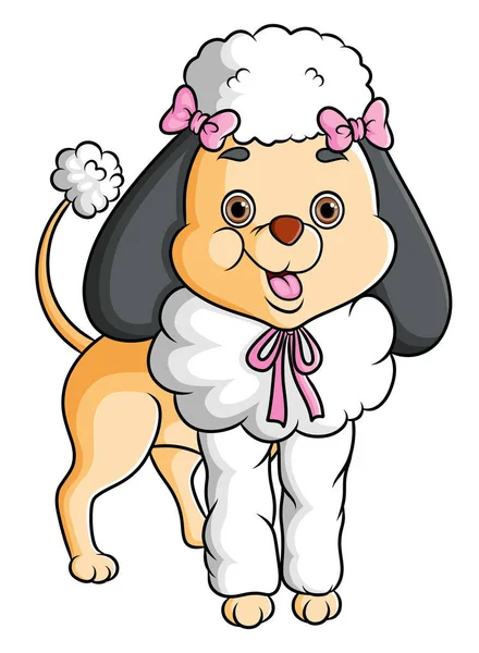 Girly Cute Poodle Wearing Ribbon Illustration — Wektor stockowy