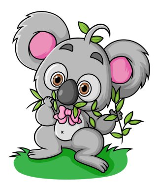 The koala is eating foliage in the garden of illustration